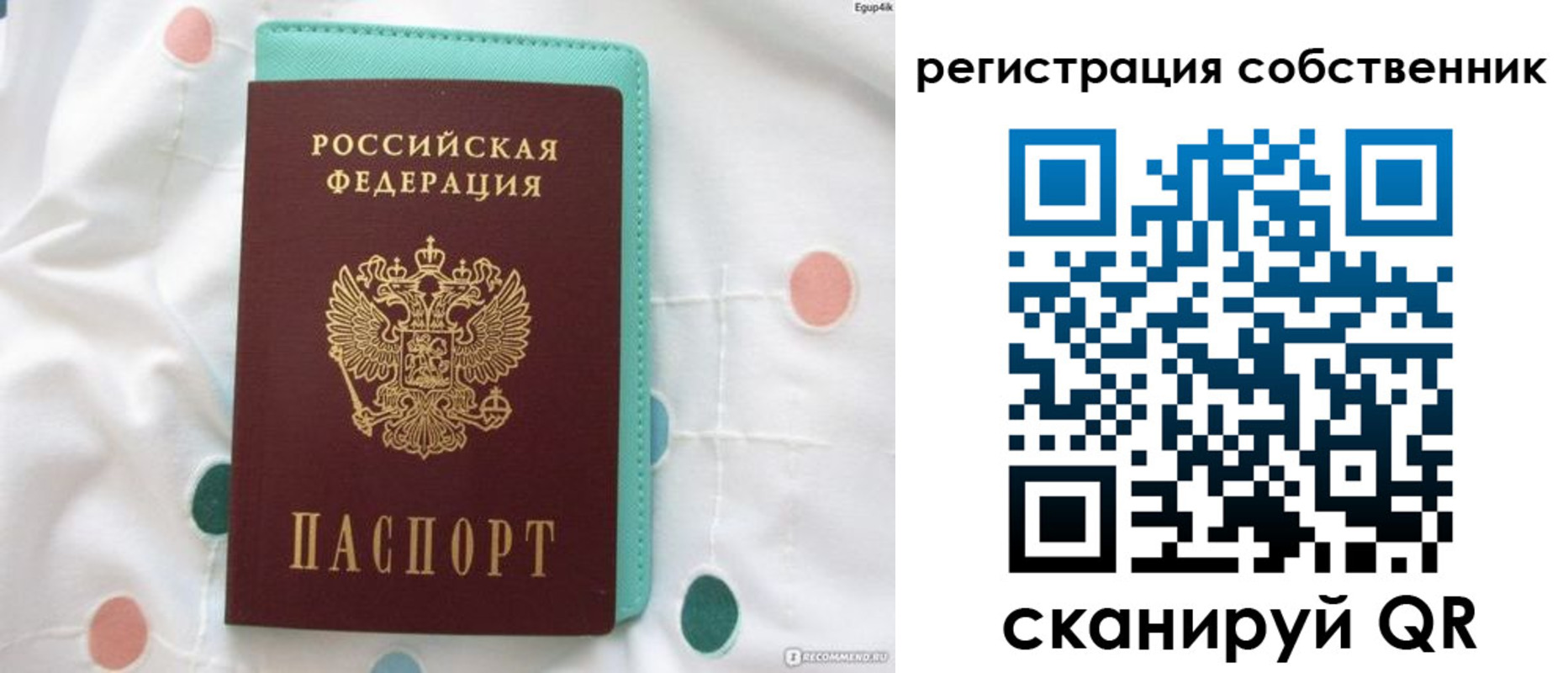 прописка для школы в Кольчугино